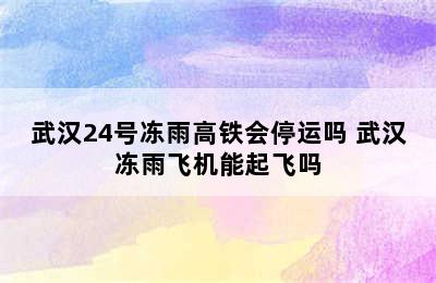 武汉24号冻雨高铁会停运吗 武汉冻雨飞机能起飞吗